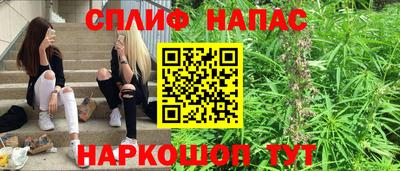 прущие грибы Анапа
