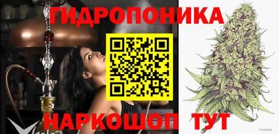 марихуана Будённовск